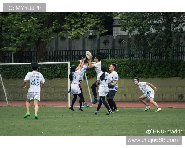 南京飞盘队心理素质排名提升至第五名展现团队实力与潜力