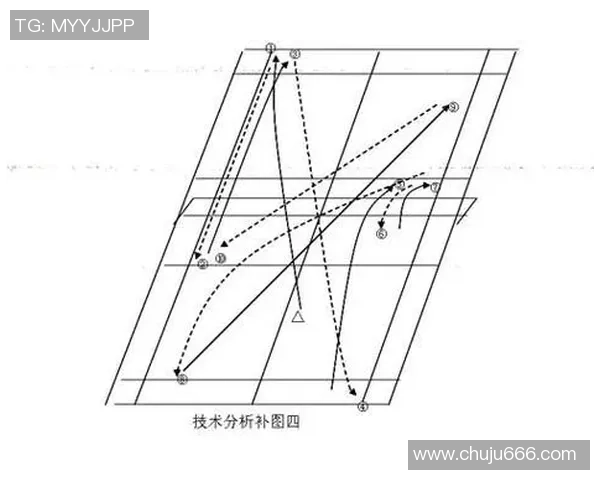 重庆羽毛球队与武汉羽毛球队赛后分析力量对比与战术探讨